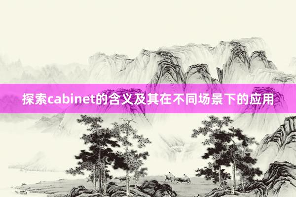 探索cabinet的含义及其在不同场景下的应用